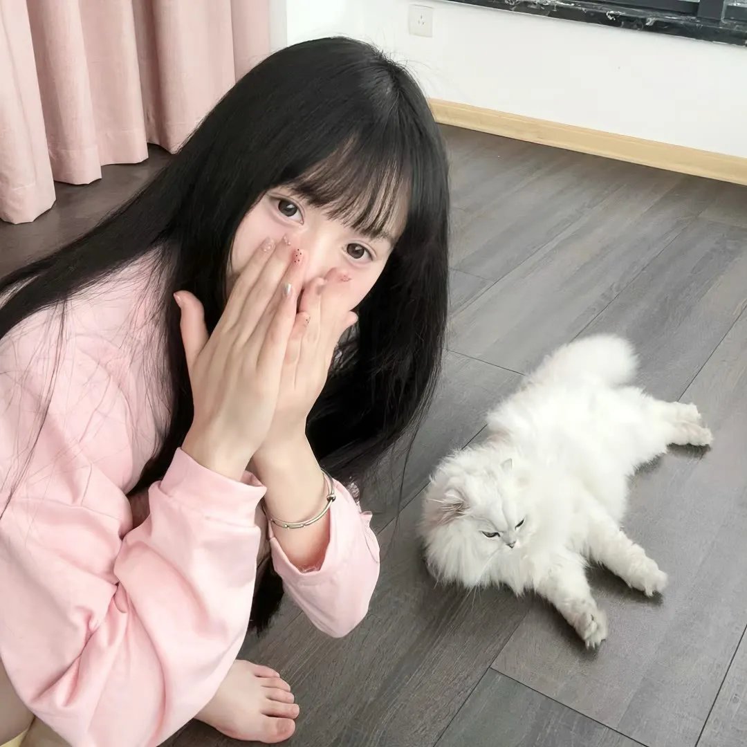 杀手老不休