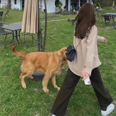 亲爱的麻洋街